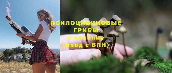 не бодяженный Алзамай