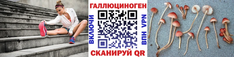закладка  Волоколамск  Галлюциногенные грибы мухоморы 