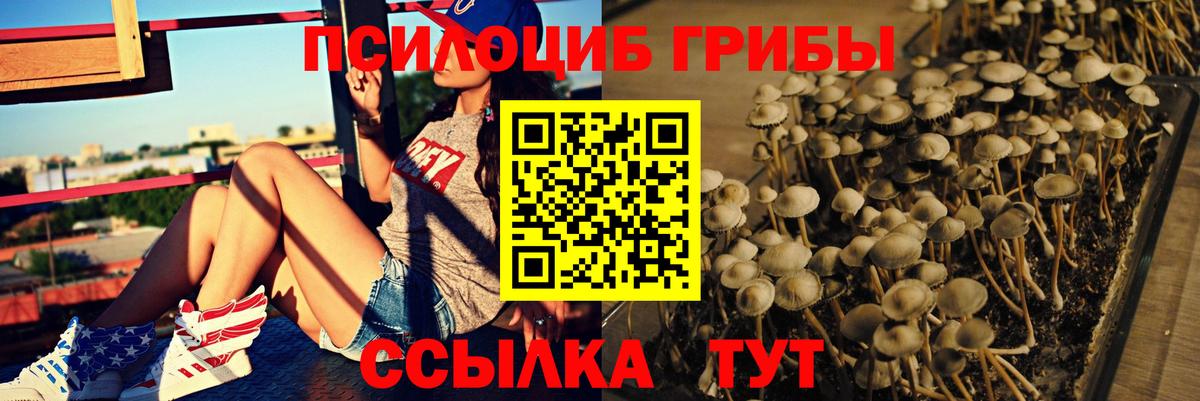 Галлюциногенные грибы мицелий  Вход с VPN  Волоколамск  Галлюциногенные грибы Psilocybe 